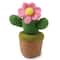Cactus Felting Kit by Loops & Threads®